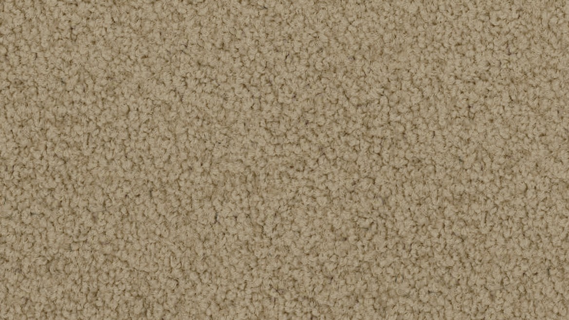 Bayside Twist Beaver Chirnside Carpets